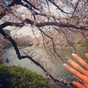 仓井空无码草逼
